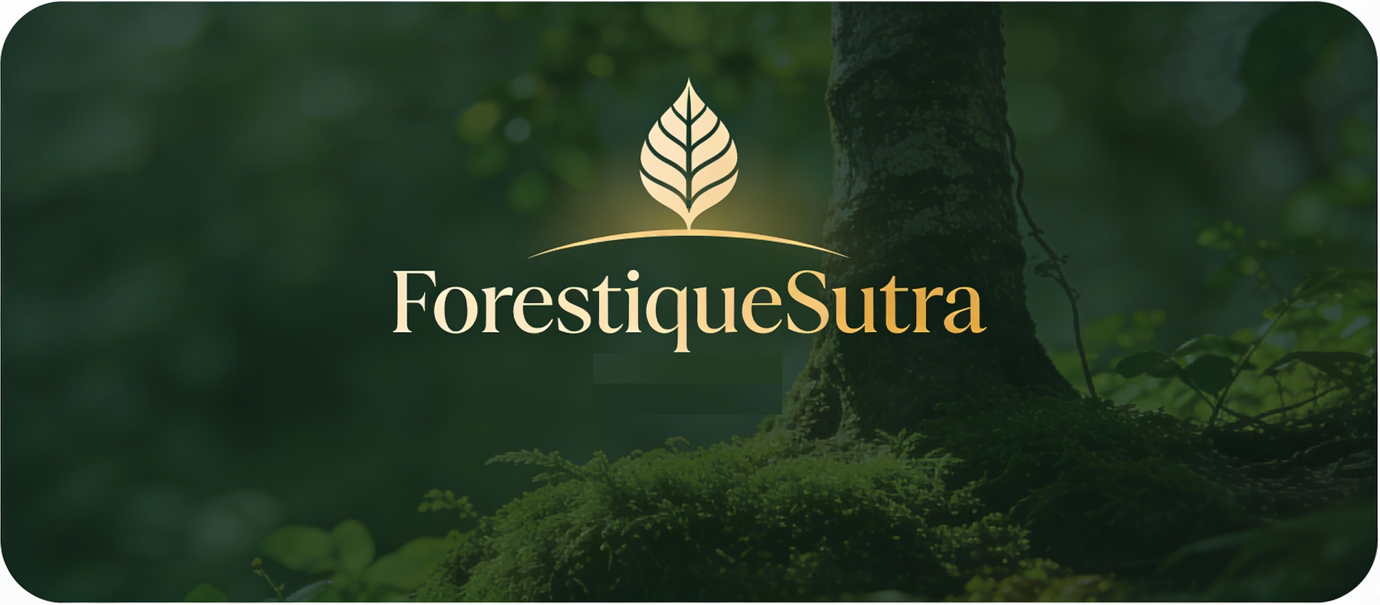 Ayurveda Herbs and Spices Banner